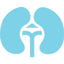 Urea / creatinine – kidney function check