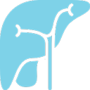 ALT / AST / GGT – liver function tests